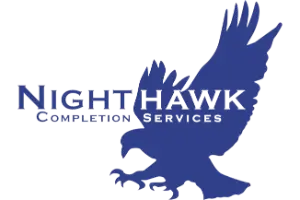 nighthawk_logo_blue-removebg-preview